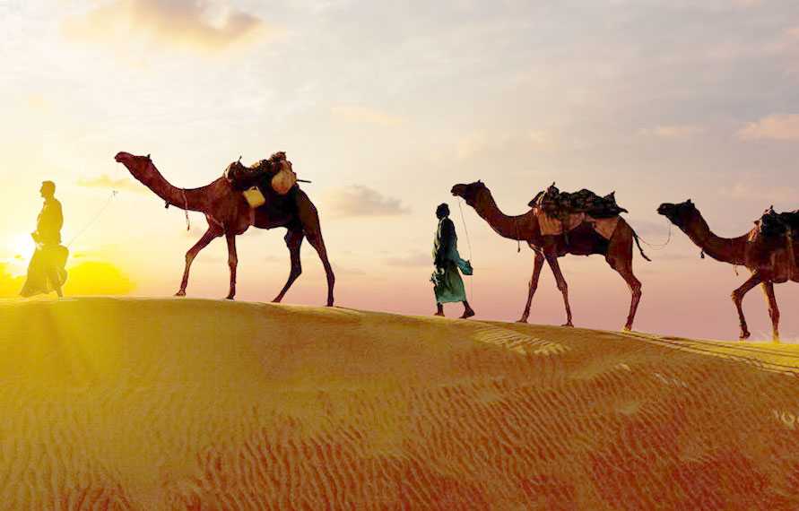 Rajasthan Vacation Tour